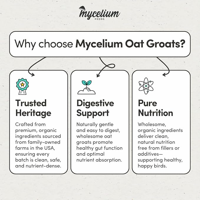 Mycelium Organic Oat Groats for Birds (5 LB Bag) | Clean, Non-GMO Grain Treat or Food Additive | Debris & Dust-Free Advanced Sifting | Ideal for Small Pet & Ground-Feeding Wildlife Birds | Made in USA