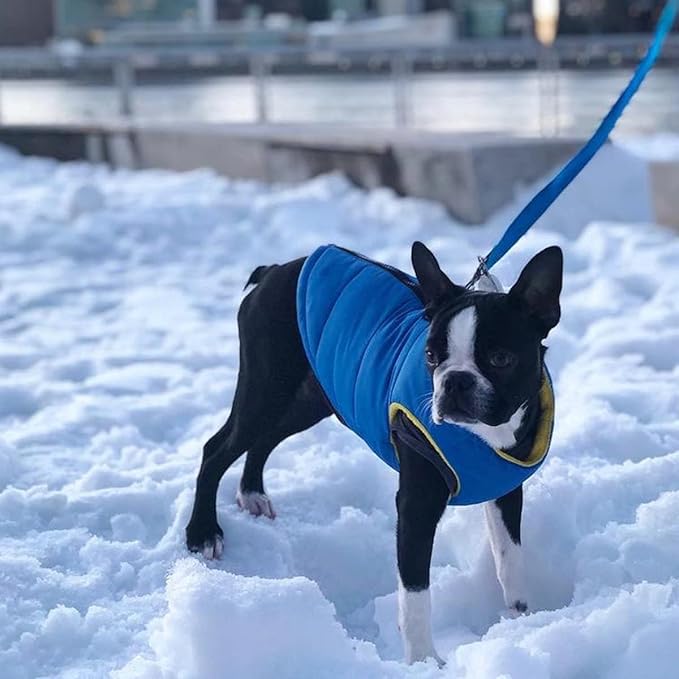 Gooby Padded Vest Dog Jacket - Solid Blue, Medium - Warm Zip Up Vest Fleece Jacket with Dual D Ring Leash Water Resistant for Small to Medium Dogs