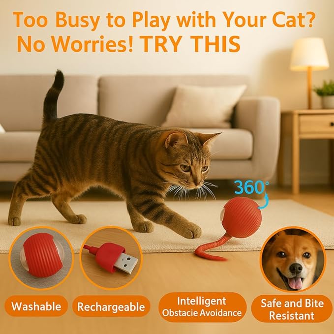 Interactive Cat Toy Ball – Rechargeable Smart Rolling Cat Ball Toy – Auto Movement – Indoor Cat Toys for Kittens – Light-Up Modes – Dual Speed – Cat Toys Interactive