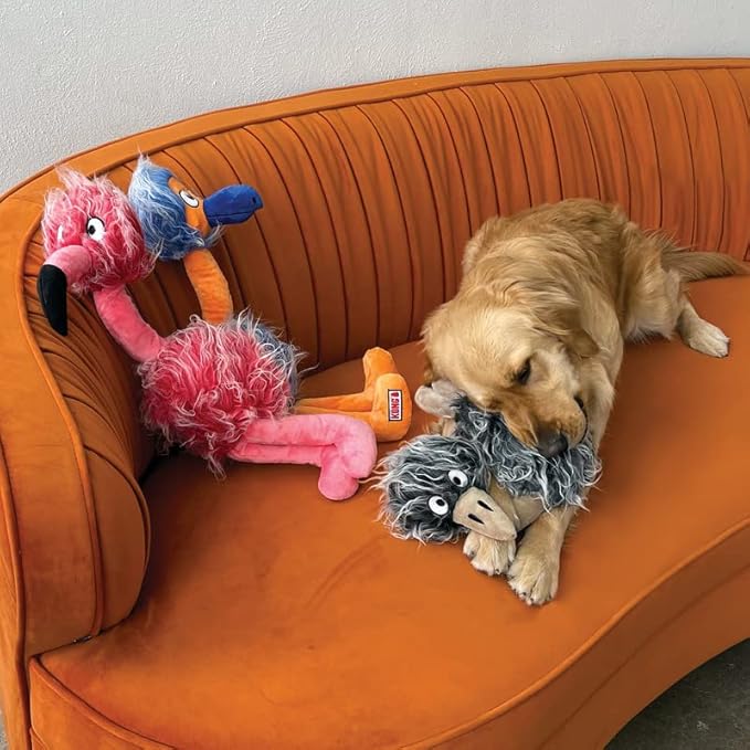 Kong Company 38750911: Comfort Jumbo Birds Dog Toy, XL