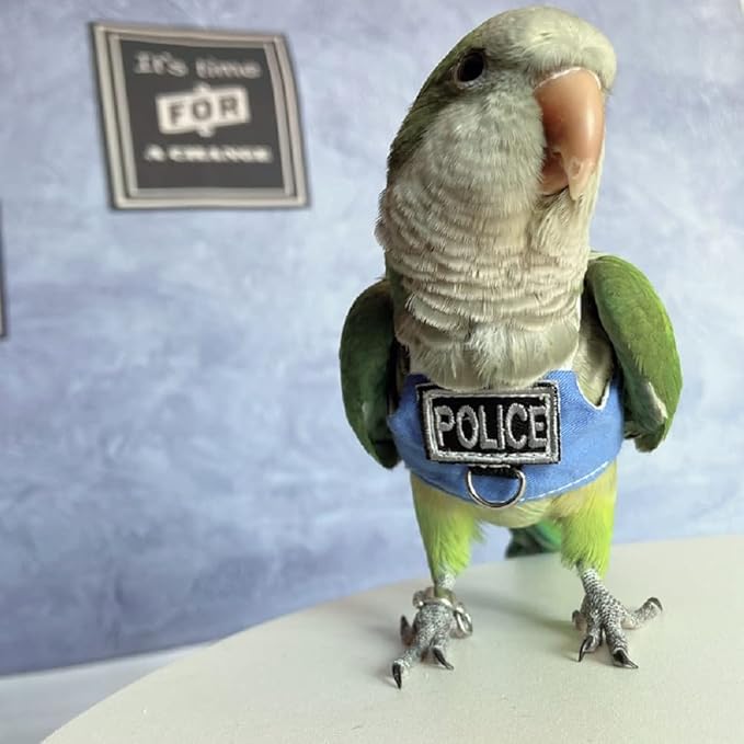 Bird Flight Harness Vest, Parrot Flight Suit with Leash, Bird Flying Clothes with Rope and Handle for Outdoor Activities (Without Leash,Cockatiel) (Without, L)