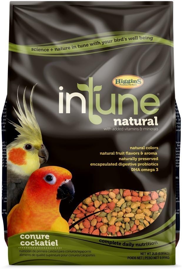 Higgins 466250 Hig Intune Conure Tiel 2Lb, Large