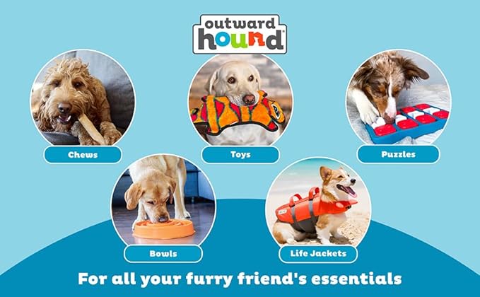 Outward Hound Invincibles 3 Squeak Sneak, Blue, Durable Dog Toy for Aggressive Chewers