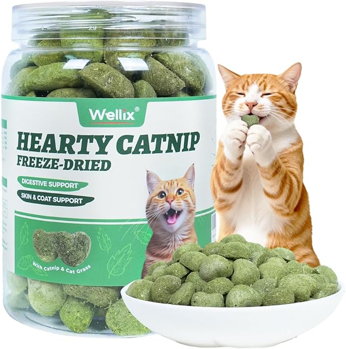 Wellix Natural Catnip & Freeze Dried Catnip Treats for Cats