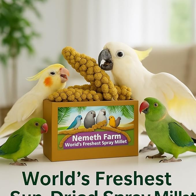 Nemeth Farms Spray Millet - Edible Tops Only, Non-GMO and Sun-Dried - 25 lbs Bulk for Parakeets, Cockatiels and Parrots