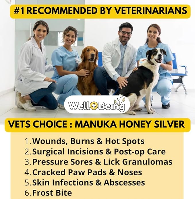 Well-Being Manuka Honey Silver Rapid Wound Repair Ointment For Dogs, Cats and Horses Superior Healing Qualities For Rapid Repair Of Cuts, Surgical Inscisions, Abrasions Prevents Infection 2 Ounce