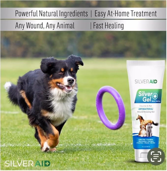 Hot Spot Treatment Gel for Horses Colloidal Silver Wound Care for Cuts, Bites, Rashes, Skin Irritations & Ulcers, Gorse Wound Care Solution, 4.0 Ounces - Vet Recommended & Made in USA