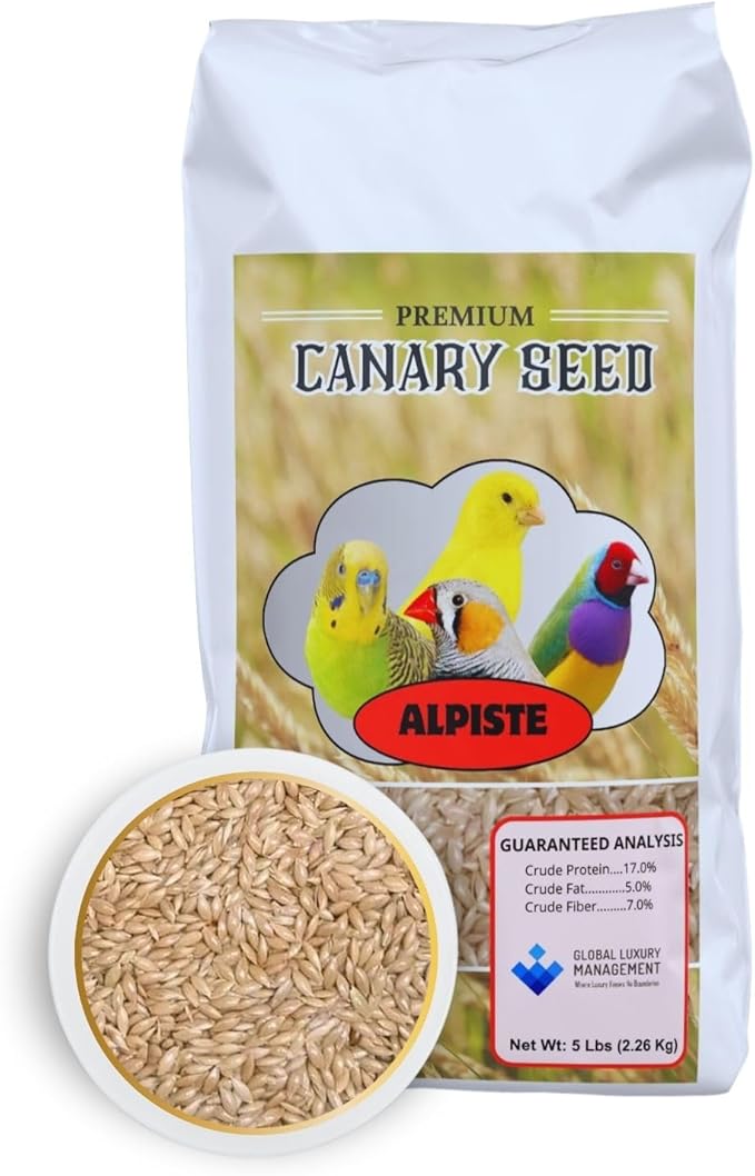 Alpiste Canary Seed 5Lb Bag – Natural Bird Food for Canaries and Small Birds, Finch Food Supports Breeding Growth Digestion Healthy Plumage Bone Strength & Eggshell Formation (5 Lb)