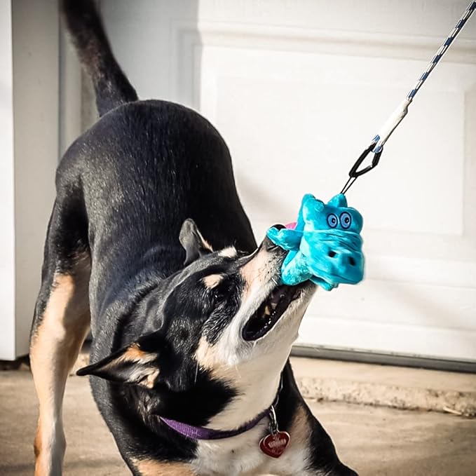 Pet Fit For Life Flirt Pole for Dogs - Extra Long 31" Dog Teaser Wand with Plush Alligator Squeaky Attachment | Promotes Animal Health & Fitness, Made w/Soft & Durable Materials | Gift