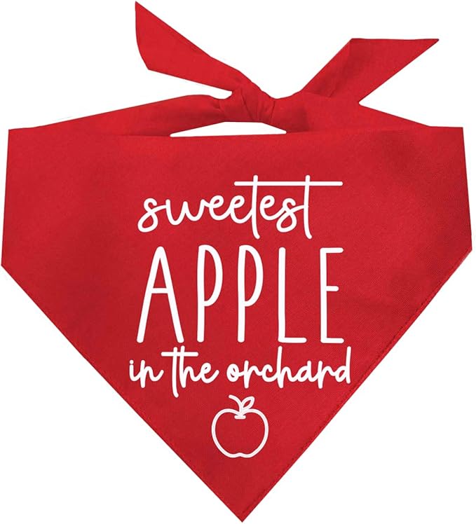 Sweetest Apple in The Orchard Dog Bandana | 100% Cotton Adjustable Triangle | Made in USA | Fall Harvest | Autumn Vibes | Farm |Red, One Size (1121)