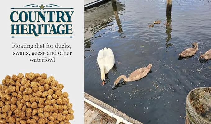 Country Heritage Waterfowl Feed Floating Food for Ducks, Swans and Geese (20 Pounds)