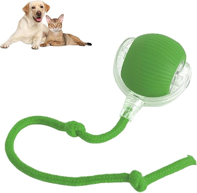 2025 New Interactive Dog Cat Toys Balls, Rolling Ball for Dogs, 360° Smart Automatic Rolling Pet Ball, Electric Dog Balls Toy, Fast Moving, for Indoor Cat and Dogs (Green)