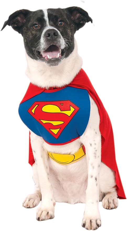 DC Comics Superheroes: Superman Pet Costume for For Dogs or Cats by Rubies, XL