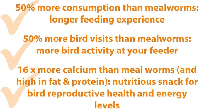 Armstrong Bird Grub Dried Black Soldier Fly Larvae, 0.3 Pounds - High-Calcium, Natural Mealworm Alternative for Orioles, Bluebirds, & Chickadees - Ideal for Outdoor Feeders
