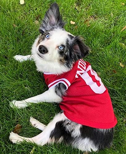 Pets First NCAA Basketball Pet Jersey INDIANA HOOSIERS Dog Jersey, X-Small (IND-4020-XS)