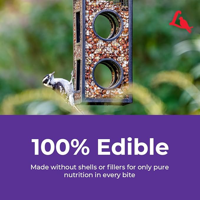 Lyric Delite Wild Bird Seed for Outside Feeders - No Waste Bird Food, Shell-Free Nuts & Seeds Mix, Attracts Buntings, Chickadees & Finches, 20 lb Bag