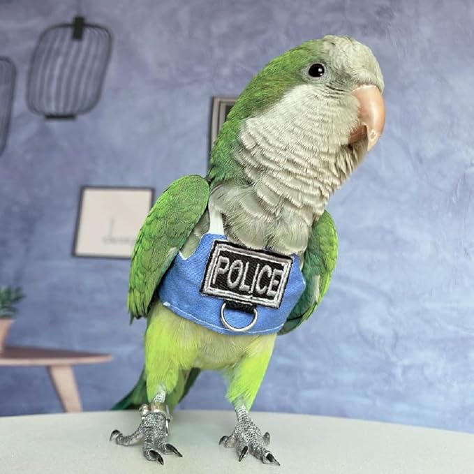 Bird Flight Harness Vest, Parrot Flight Suit with Leash, Bird Flying Clothes with Rope and Handle for Outdoor Activities (Without Leash,Cockatiel) (Without, S)