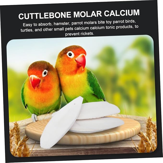 POPETPOP 12sets Pet Grinding Toy Set Cuttlefish Bone Chewing Toys Molars for Animals Bird Cage Accessories Pet Supplies Protect Your Shoes Furniture