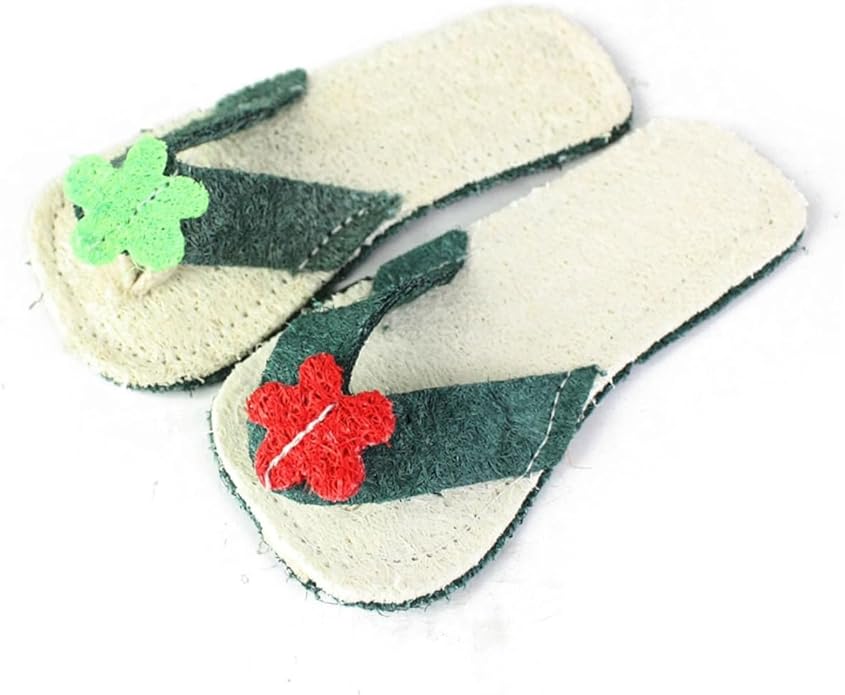 Garneck Loofah Slipper Shaped Pet Chew Toy for Dogs and Cats Molar Toy for Teething Random Oral Care Tool for Healthy Teeth and Gums Fun Pet Plaything