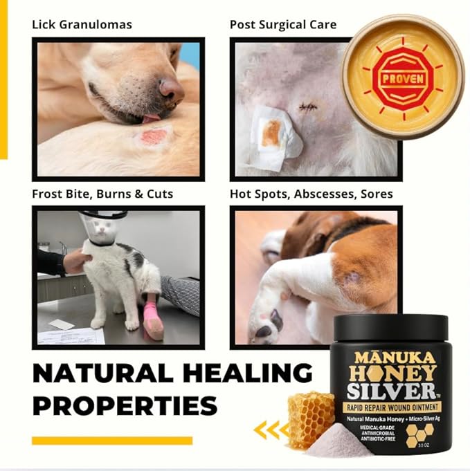 Well-Being Manuka Honey Silver Rapid Wound Repair Ointment For Dogs, Cats and Horses Superior Healing Qualities For Rapid Repair Of Cuts, Surgical Inscisions, Abrasions Prevents Infection 2 Ounce