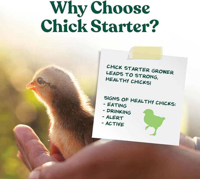 Manna Pro Medicated Chick Starter Grower Feed, Dried High Protein Chicken Food Crumbles with Amprolium for Coccidiosis Prevention, Complete Chicken Feed for Baby Chicks, 5 lb Bag