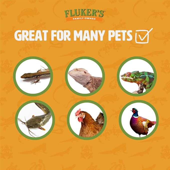 Fluker's Live Mealworms, 2000 Count Insects for Reptiles, Chickens, and Birds, Large Size (Approx. 1")