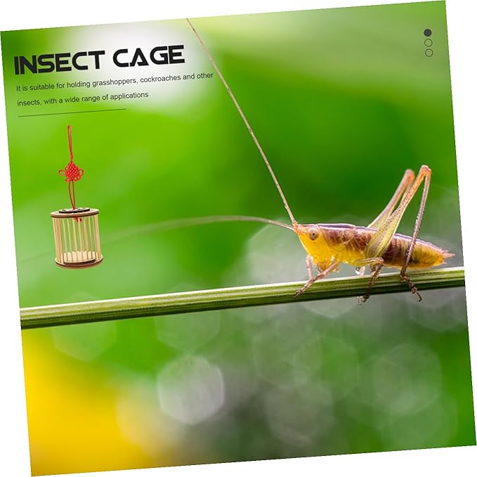 Bamboo Insect Keeper Cage Portable Storage Container Tubes and Feeding Accessories for Observation