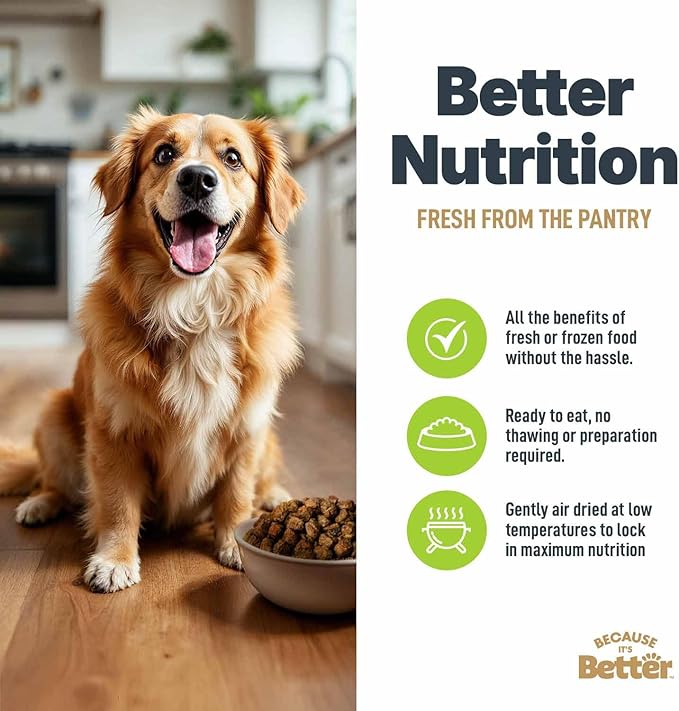 Because It’s Better Slow Baked & Air Dried Dog Food - Real Chicken & Veggies - Complete & Balanced Dry Dog Food - Grain Free, High Protein, Natural Nutrition for All Life Stages, 1 lb Bag