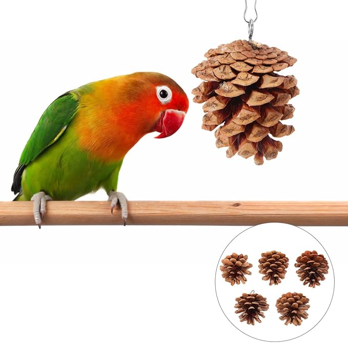 POPETPOP Hanging Parrot Chewing Toy Natural Pine Cone Bird Cage Toy for Foraging and Beak Exercise Durable Bite-Resistant Plaything for Parakeets Cockatiels Conures
