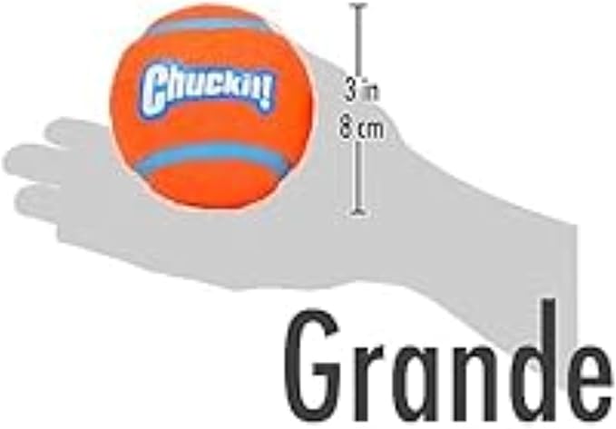 Chuckit! Dog Tennis Ball Dog Toy, Large (3 Inch Diameter) for Dogs 60-100 lbs, Pack of 24