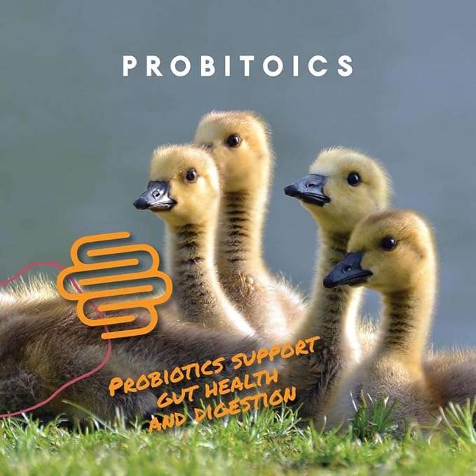 Manna Pro Duck Starter Grower Crumble – Non-Medicated Duckling Feed with Probiotics for Digestion, Ducks & Goose Starter Feed for Healthy Growth, Duck Grower Crumble Pellets, 8 lb