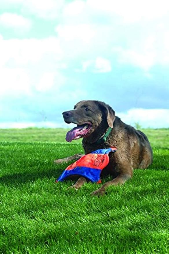 CHUCKIT! Flying Squirrel Dog Toy