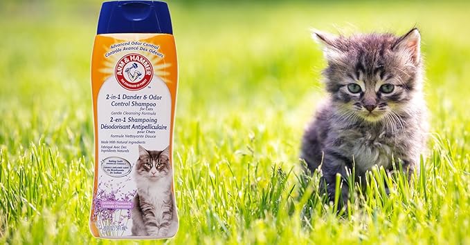 Arm & Hammer 2-in-1 Deodorizing & Dander Reducing Shampoo for Cats, Baking Soda Cat Shampoo for Dander, Odor Control and Coat Cleaning, Lavender Chamomile Scent, 20 Fl Oz - 2 Pack