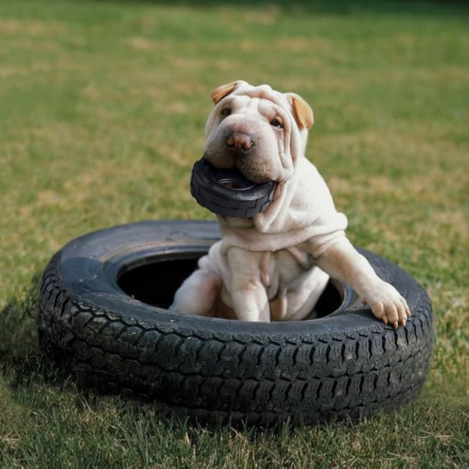 (3 Pack) KONG Tires Extreme Dog Toy, Medium/Large