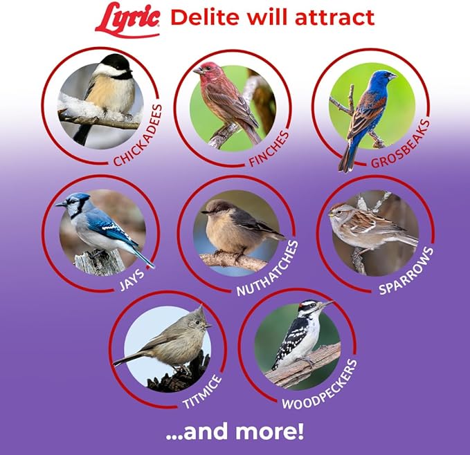 Lyric Delite Wild Bird Seed for Outside Feeders - No Waste Bird Food, Shell-Free Nuts & Seeds Mix, Attracts Buntings, Chickadees & Finches, 20 lb Bag
