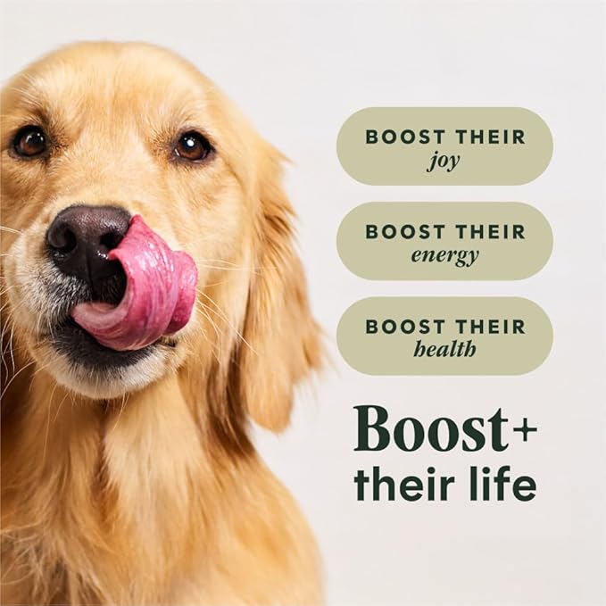Instinct RawBoost, Natural Dry Dog Food with Freeze-Dried Pieces, Whole Grain Recipe - Real Beef & Barley, 20 lb. Bag