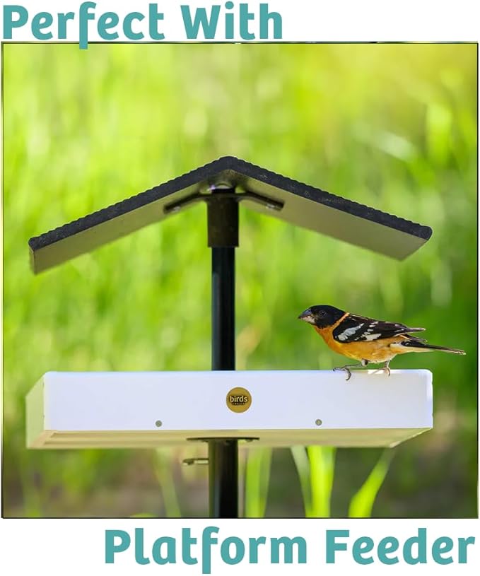 Birds Choice Finch Feast Wild Bird Food | Nutrient-Rich Bird Seed Blend | High-Energy with Nyjer Thistle, Sunflower Chips, Nyjer & Vegetable Oil | High Protein & Fat for Attracting Finches | 5 lbs