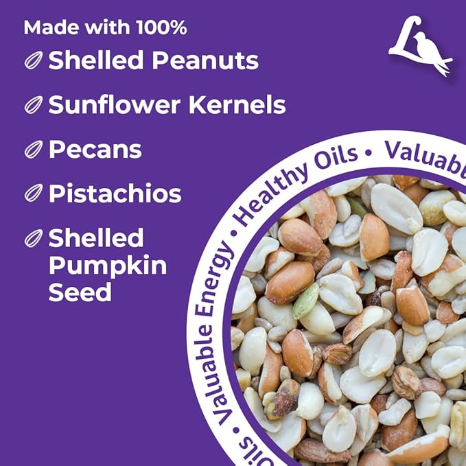 Lyric Delite Wild Bird Seed for Outside Feeders - No Waste Bird Food, Shell-Free Nuts & Seeds Mix, Attracts Buntings, Chickadees & Finches, 5 lb Bag