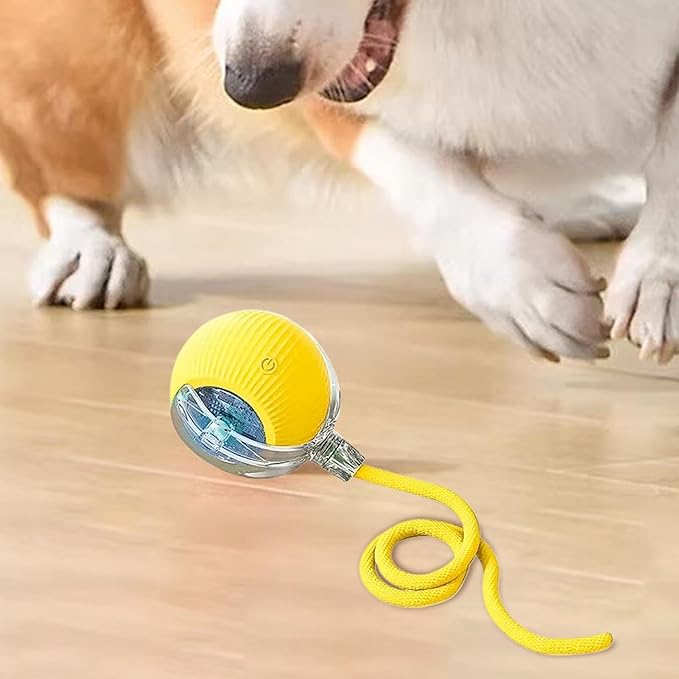 Interactive Rolling Dog Ball, Chewie Viral Rolling Ball, Chewie Ball for Dogs, Interactive Dog Smart Ball Toy, Smart Automatic Rolling Pet Ball for Dog Cat
