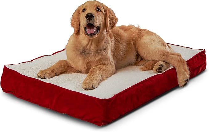 Happy Hounds Oscar Rectangle Orthopedic Foam Sherpa Dog Bed, Small (36 x 24 in.), Red