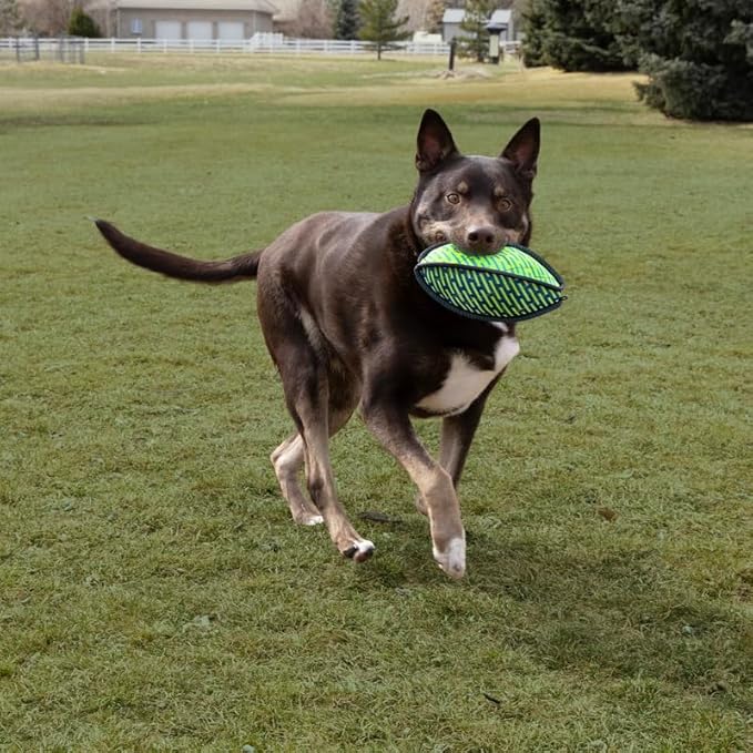 KONG Armor Bone Dog Toy – Medium – Durable Triple-Layered Fabric with Reflective Trim & Squeaker – Assorted Colors – Ideal for Chewing, Fetching & Tugging (Football, Medium)