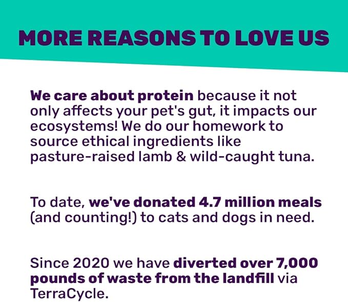 I AND LOVE AND YOU Feed Meow Tummy Wet Cat Food - Tuna + Pumpkin - Digestion Support, Grain Free, Shredded, 3oz Pack of 12