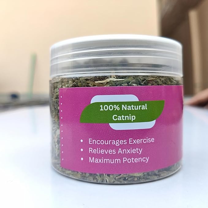 100% Natural Catnip for Cats & Kittens Premium Organic Blend to Energize and Excite Cats, Safe for Cat Play, Training, Refillable Catnip Toys, Cat Tree and Cat Bed (1/2 Cup)