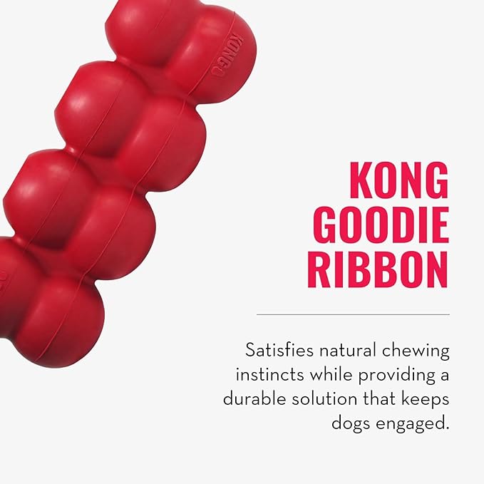 KONG Ring & Goodie Ribbon - Durable Rubber Treat-Dispensing Chew Toy for Dental Health - for Small Dogs