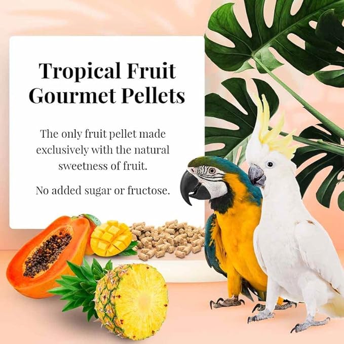 LAFEBER'S Tropical Fruit Gourmet Pellets Pet Bird Food, No Added Sugar, Made with Non-GMO and Human-Grade Ingredients, for Macaws and Cockatoos, 1.25 lb (Pack of 2)