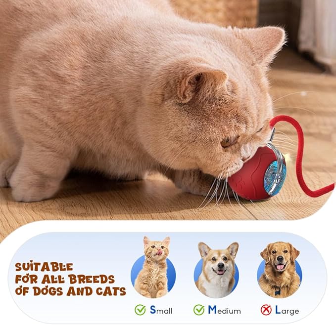 Interactive Cat Toys Ball for Indoor Cats, 2025 New Cat Toy, Automatic Moving Cat/Dog Balls, Electric Rolling Ball Toy for Bored Indoor Adult Cats,Dogs (Yellow)