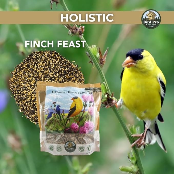 Bird Pro Holistic Bird Seed - Premium Seed for Backyard Feeding (5 Pounds, Gourmet Finch Feast)