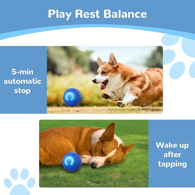 Interactive Dog Toys for Small Dogs, 2026 New Dog Balls Automatic Rolling Ball for Puppy Small Medium Dog and Cat, Self Moving Jumping Bouncing and Rotating Pets Toy to Keep Them Busy (Blue+Orange)
