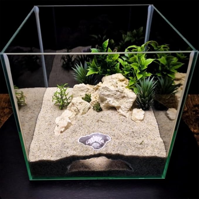 Resin Medusa Head Aquarium Ornament – Aquarium-Safe Fish Tank Decor, Hideaway Cave for Aquatic Pets to Breed, Play and Rest, Unique Gorgon Decorative Stone for Betta and Small Fish (Extra Large)