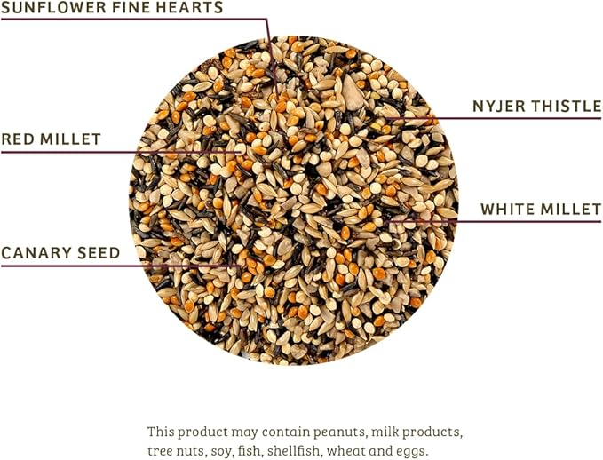 Birds Choice Finch Feast Wild Bird Food | Nutrient-Rich Bird Seed Blend | High-Energy with Nyjer Thistle, Sunflower Chips, Nyjer & Vegetable Oil | High Protein & Fat for Attracting Finches | 5 lbs